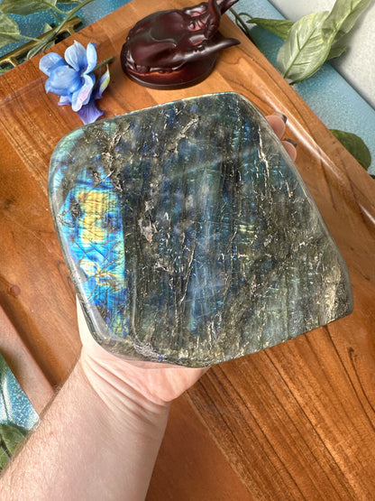 Large blue and yellow flash Labradorite