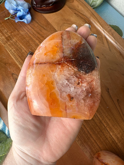 Carnelian Freeforms