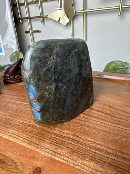 Large blue and yellow flash Labradorite